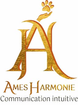 Logo Âmes Harmonie