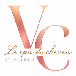 Logo Le Spa Du Cheveu